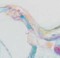 handspour