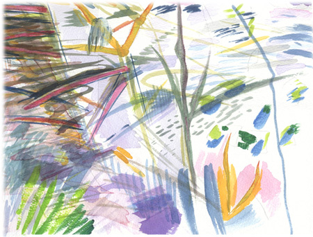 marsh flowers saturated