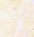 sunburst