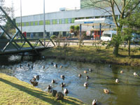 colchester hospital