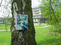 fishonatree