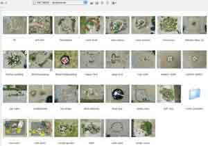 ground thumbs