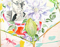 matisse in nature