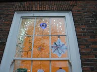 window6